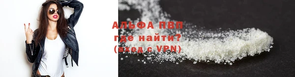 индика Баксан