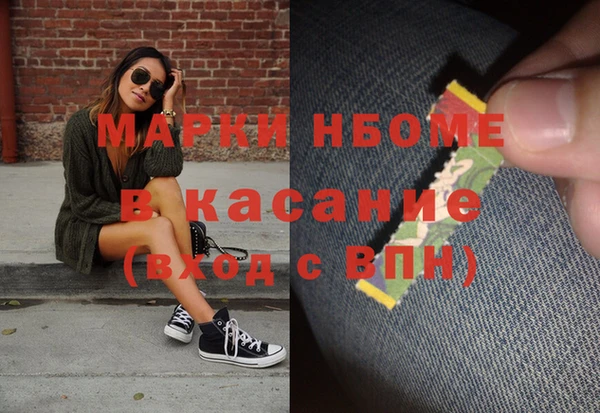 индика Баксан