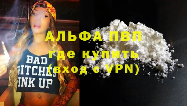 индика Баксан