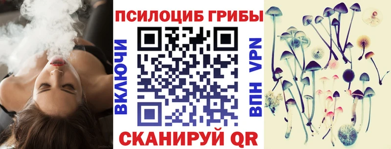 mega как зайти  Ужур  Галлюциногенные грибы Psilocybe  наркотики 
